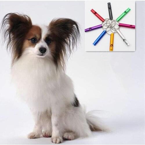 Dog Whistle Keychain Pet Training Adjustable Ultrasonic Flute Dog Whistle Sound Keychain