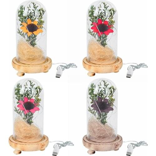 Sunflower Banquet Dried Flowers Night Light Bedside Lamp Micro Landscape Valentine Day Mother Day Gift Home Decoration