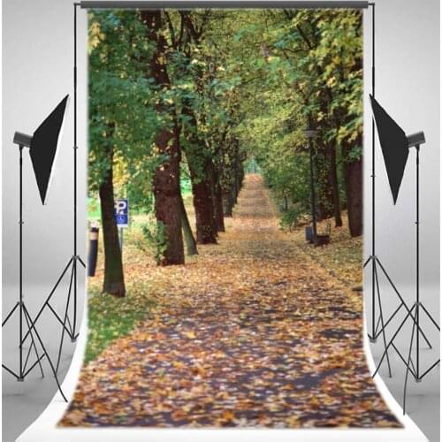 Photography Backdrop Green Trees Falling Leaves Traffic Lights Ric Autumn