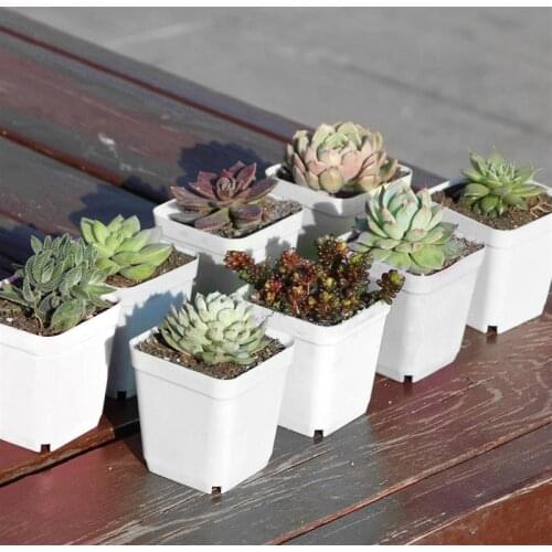 10pcs Flower Pot Planters Plastic Square Pot Succulents Nursery Floral Holder Organizer Garden Supplies with Trays(White 7cm)