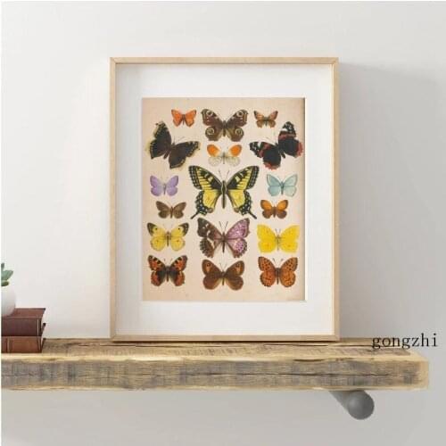Butterflies Vintage Poster Insect Education Illustration Canvas Painting and Prints Wall Art Pictures for Living Room Home Decor