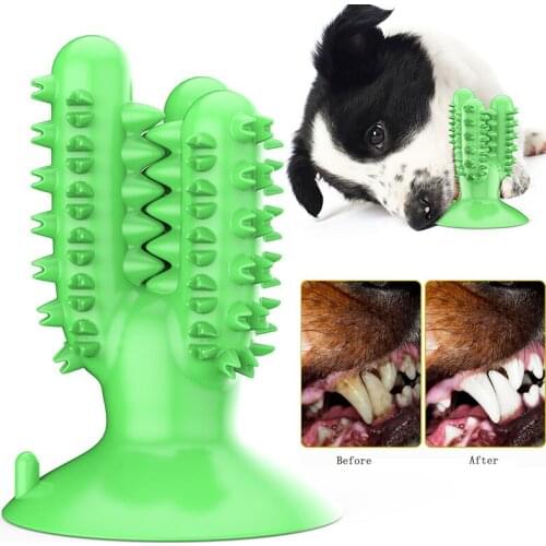 NEW Dog Toothbrush Toys for Dogs Interactive Toy Training IQ Teeth Cleaning Durable Small Medium Large Dog Puppy Chewing