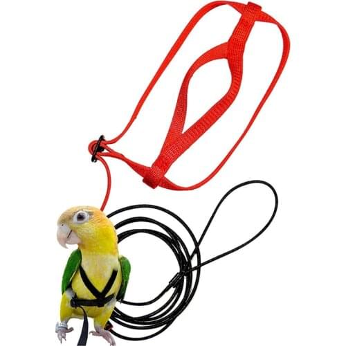 LBER Pet Bird Harness and Leash,Adjustable Parrot Bird Harness Leash - Pet Anti-Bite Training Rope Outdoor Flying Harness and Le