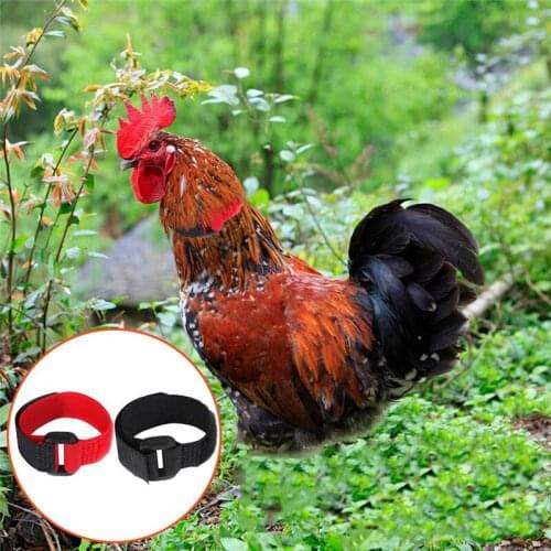 2 Pcs Chicken Collar No-Crow Rooster Collar Fowl Neckband Accessories For Farm Poultry Knot Noise Neckband Collar Supplies