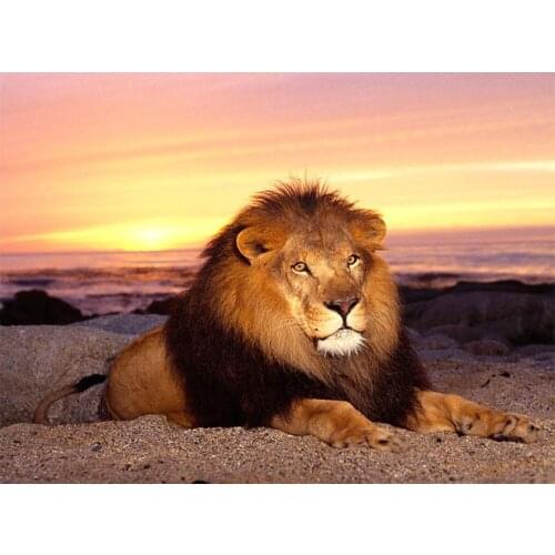 Diamond Embroidery Animal lion Full Squarer/Round 5D Diamond Mosaic DIY Diamond Painting Cross Stitch Paste Decor Paintings KL64