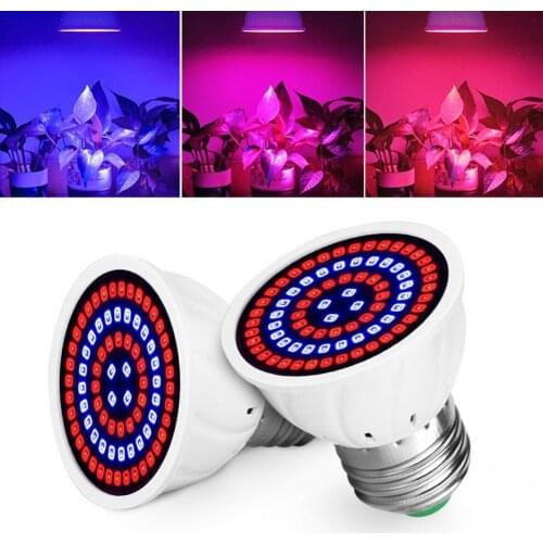 Фитолампы для растений BLUEKING China At AliExpress