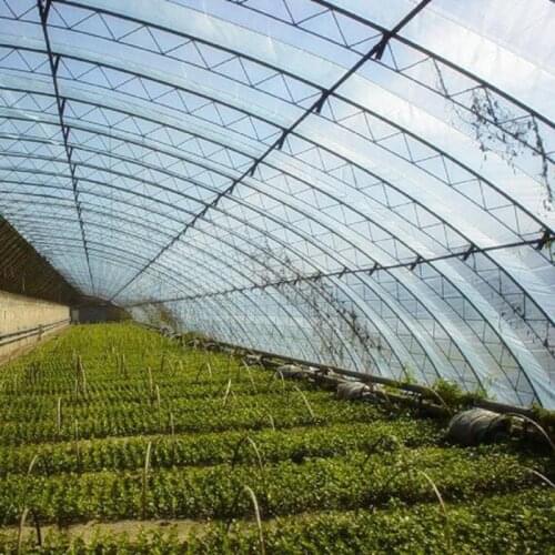 0.08mm Hi-quality Reinforced PE Greenhouse Film Garden Vegetable Plant Cover Rain-proof Keep Warm Transparent Film Width:2m~12m