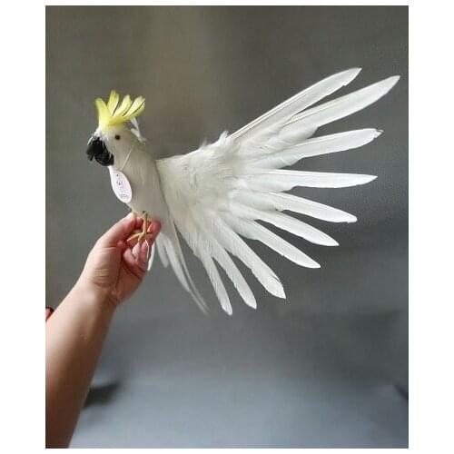 White real life wings parrot model foam&feather bird gift about 30x50cm xf0003