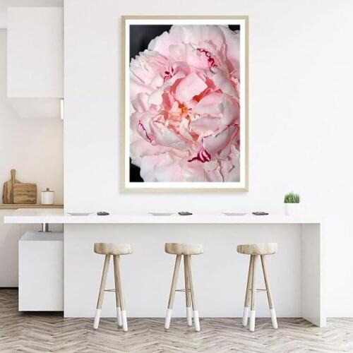 Nordic Decoration Home Posters and Prints Blush Pronies Canvas Paintings Flower Picture Wall Art Pictures For Living Room