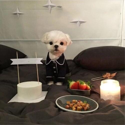 French Style Dog Clothes For Small Gogs Pet Summer Soft Clothing Jumpsuit Dogbaby Solid Pajamas Sleepwear Puppy Chihuahua