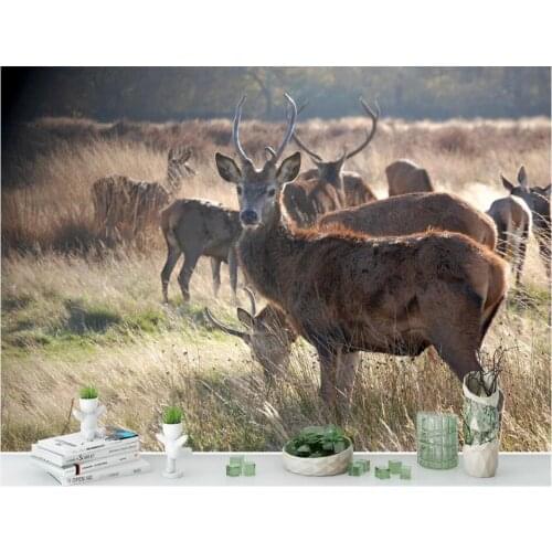 WDBH Custom photo 3d wallpaper African savannah elk landscape home decor living room 3d wall murals wallpaper for walls 3 d
