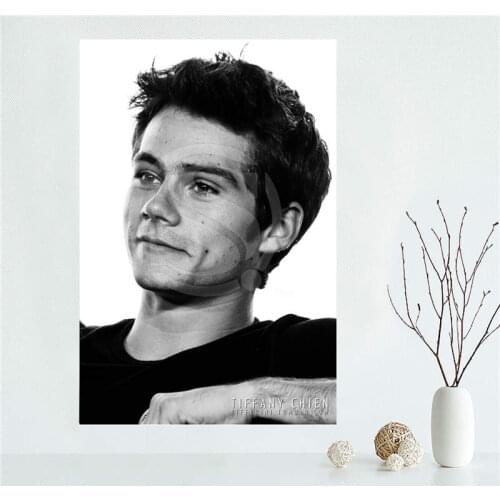 YJW523-L4 Custom Teen Wolf Promotional dylan obrien Canvas Painting Wall Silk Poster cloth print DIY Fabric Poster FF-4