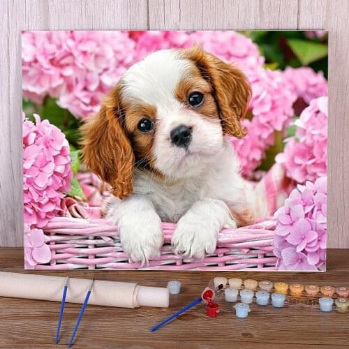 Animal Dog Painting By Numbers Kit Acrylic Paints 40*50 Boards By Numbers Home Decoration Kids Drawing