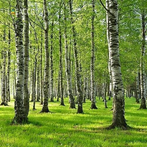 Laeacco Spring Green Forest Trees Grassland Scenery Photography Backgrounds Baby Child Portrait Photo Backdrops For Photo Studio