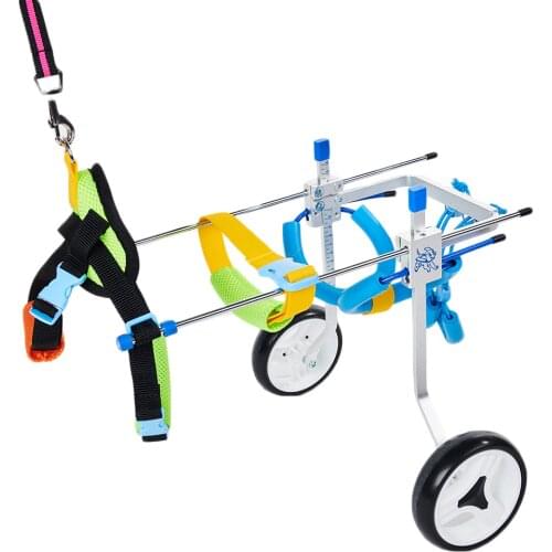 FangNymph Skateboards And Scooters