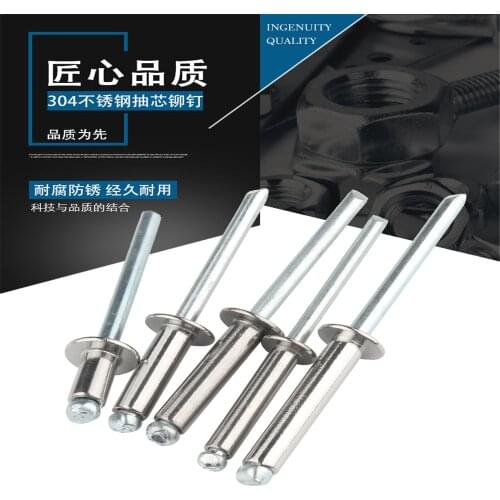 M3.2 Blind Rivets Nail Stainless Steel Nails Mushroon Head Break Mandrel Open Pop Rivet For Furniture Car Aircraft Vis DIN7337