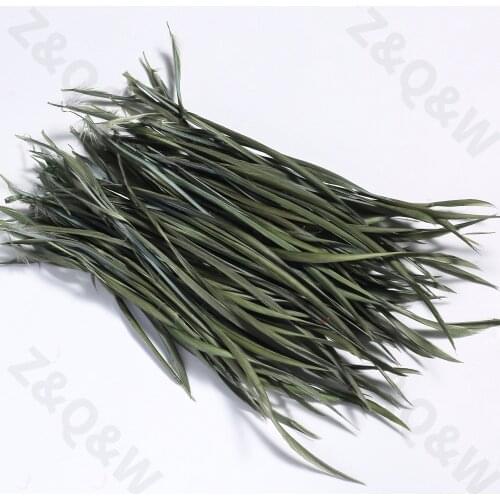 Natural6-8 inches (15-20CM) goose feather monofilament edge feather dyed dark army green 100-500pcs DIY craft jewelry decoration