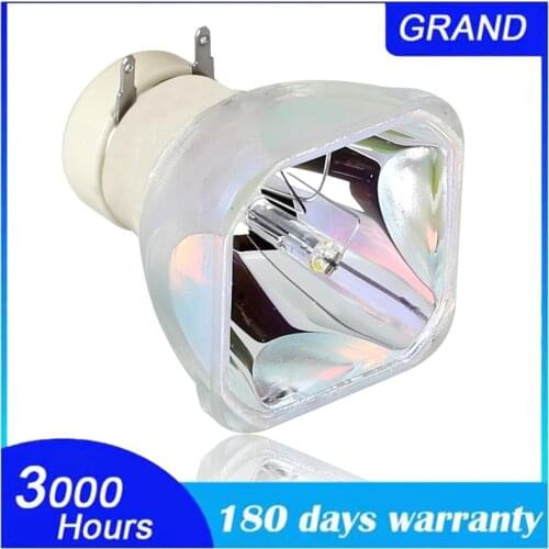 Replacement Lamp Bulb POA-LMP132 for SANYO PLC-XW300 / PLC-XW250 / PLC-XW200 / PLC-XE33 / XW250K /XR201 Projectors