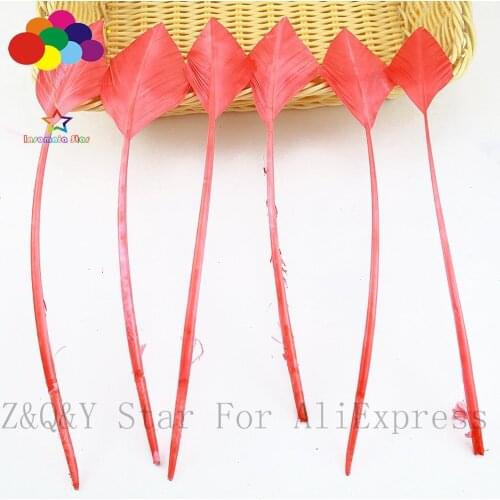 Natural Turkey 25-30CM Wo Lin Feather Front Cut Tip Watermelon Red DIY Craft Accessories Feather