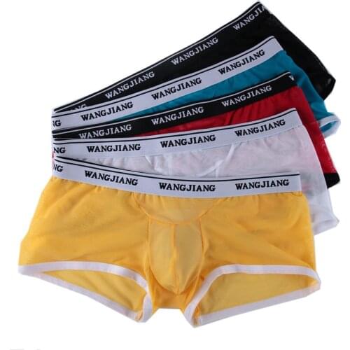 5Pcs/Pack Mens Sheer Mesh Boxers Underwear Lingerie Sexy Mens Bulge Pouch Underpants Boxer Shorts Trunks Low Waist Bottoms New
