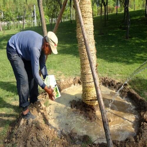 Water soluble Fertilizer for New Transplant Branch rooting growth hormone