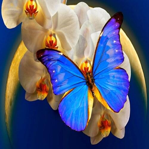 100% Full 5D Diy Daimond Painting LButterfly&Flower 3D Cross-stitch Round Rhinestone Full Pasted Diamant Painting wedding gift