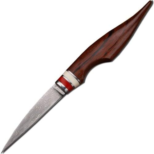 VG10 Damascus Steel Handmade Professional Chef Plate Multifunctional Kitchen Carving Fruits and Vegetables Knife