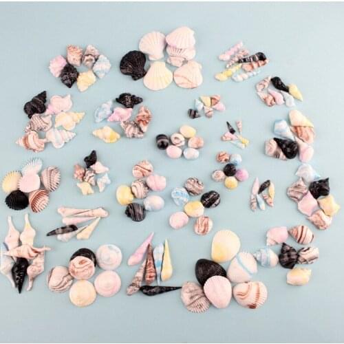 10pcs Mix DIY resin conch shell nautical charms fashion bijoux cabochon resin craft jewelry making ornament decoration boutique