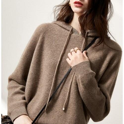 Autumn Winter Hooded Sweater Womens Cashmere Truien Knit Sweater Hoodie Loose Bottoming Sweater Large Size Female Sweater