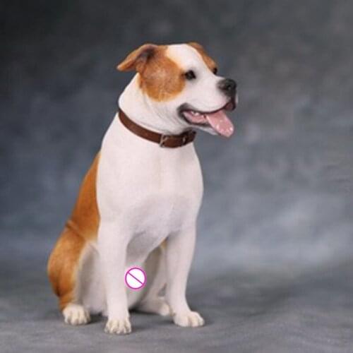 1/6 Scale Simulated Animal Model American Staffordshire Terrier For 12' Action Figure Body Scene Accessorie suit model display