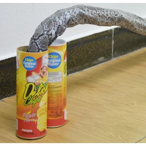 Funny Potato Chip Can Jump Spring Snake roach Toy Gift April Fool Day Halloween Party Decoration Prank Trick Fun Joke Toys