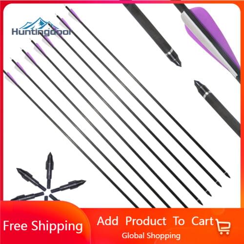 6/12 pcs31 inch Spine 350 Carbon Arrow for Recurve/Compound Bows Archery Hunting With Arrow Quiver Sponge Arrowheads