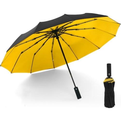 Windproof Double Automatic Folding Umbrella Female Male 12 Bone Car Luxury Large Business Umbrellas Men Rain Women Gift Parasol