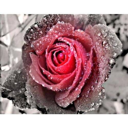 5D DIY Square Diamond Painting Flower Rose Embroidery Diamond Painting Cross Stitch Red Rose Floral Rhinestone Mosaic Painting