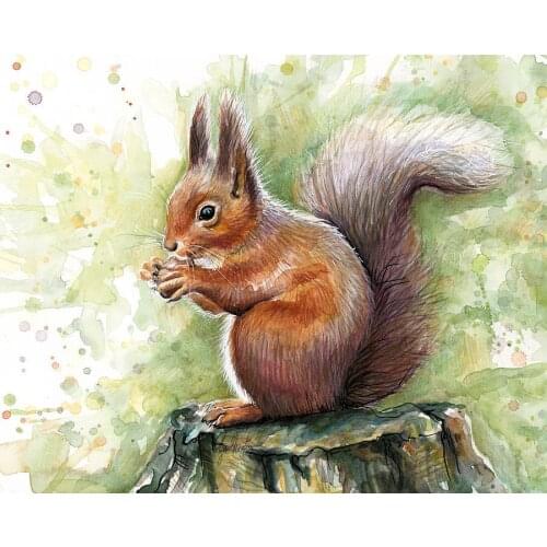 JMINE Div 5D Squirrel wood Full Diamond Painting cross stitch kits art High Quality Animal 3D paint by diamonds