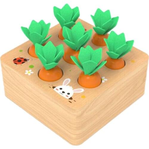 Wooden Shape Size Sorting Toy for Kids Babies Carrots Stacking Board Develop Fine Motor Skills & Logic