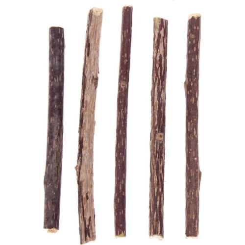 5Pcs Pure Natural Catnip Pet Cat Molar Toothpaste Stick Cat Cleaning Teeth