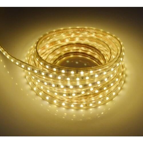 AC220V SMD 5050 LED Strip Flexible Light 60leds/m Waterproof Led Tape LED Light with Power Plug 1M/2M/3M/5M/6M/8M/9M/10M/15M/20M