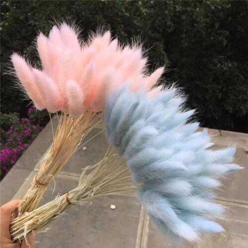 60pcs/lot,Natural Rabbit Tail Dried Flowers,Real touch Eternal flowers For Wedding Home Decoration,Arrangement shooting props