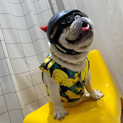 Motorcycle Horned Devil Dog Helmet Cat Safety Hat DIY Protect Pet Accessories Decor Fashion Suitable for Winter Size S/M/L