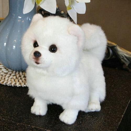 Luxury quality Simulation Pomerani dog plush dog toy stuffed animal super high quality Realistic toy for home decor pet owner