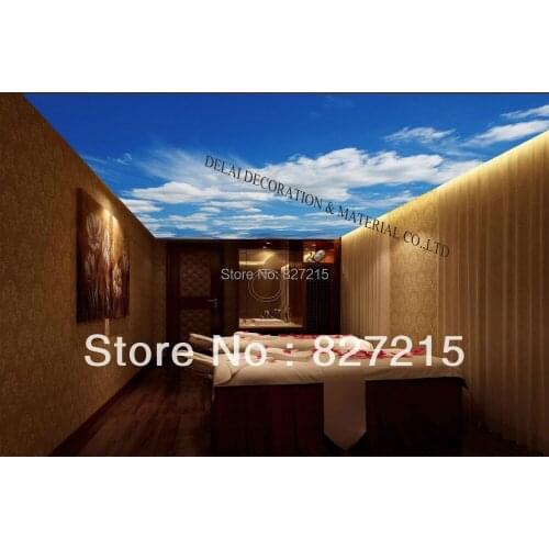 S-7227/Print Ceiling tiles /PVC Stretched Ceiling Film/Home or Ceiling Decoration/Function as Ceiling Panel