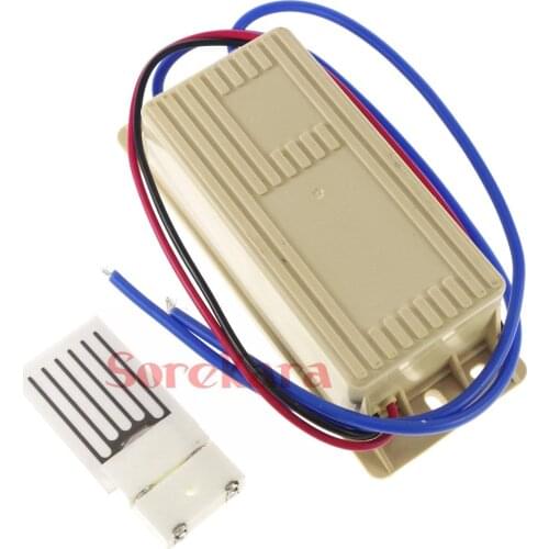 Kit Output 1g/h 2g/h 12VDC 110VAC 220VAC Power Supply +Ceramic Plate Circuit Board Ozone Generator Air Purifier 3-3.5KV 16KHZ