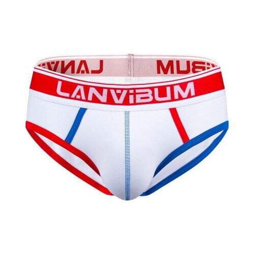 2020 LANVIBUM New Fashion Mens Sexy Underwear Low Waist Briefs Lycra U Convex Briefs Cotton Underpants