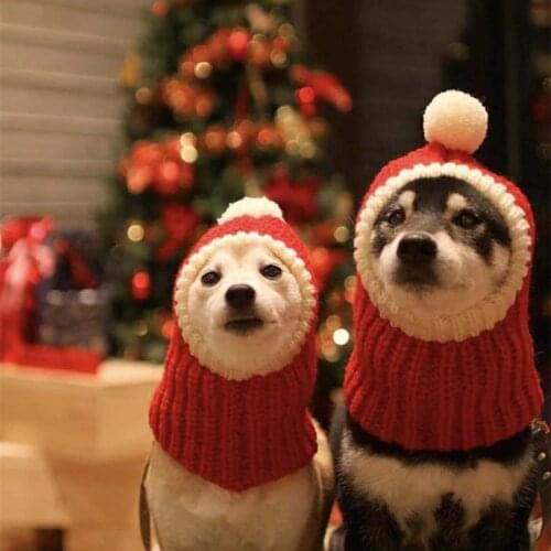 Pet autumn and winter woolen hat Shiba Inu method Teddy Bichon golden retriever Christmas hat British short cat Christmas hat