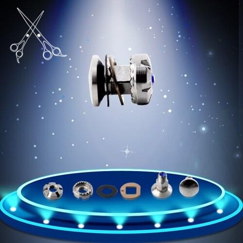 2 sets/lot Hairdressing Salon Scissor Part Bearing Screw Tornillo Rodamiento Hairstyling Barber Accessory Vis Palier