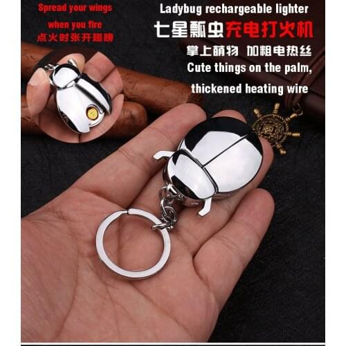 Unusual Beetle Charging Plasma Lighter Windproof Ladybug USB Cigarette Lighter New Strange Keychain Lighters Outdoor Gadget