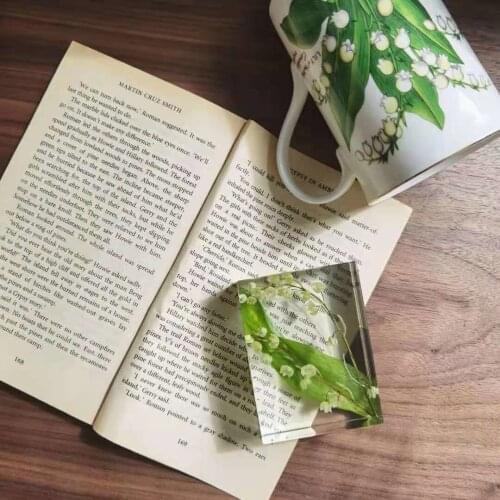 Lily Of The Valley Plant Specimen Immortalized Flower Paperweight Ornament Epoxy Resin Creative Girlfriend Gift