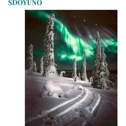 SDOYUNO 60x75cm Pictures By Numbers DIY Painting By Numbers On Canvas Frame Aurora Digital Hand Painting Scenery Draw Number