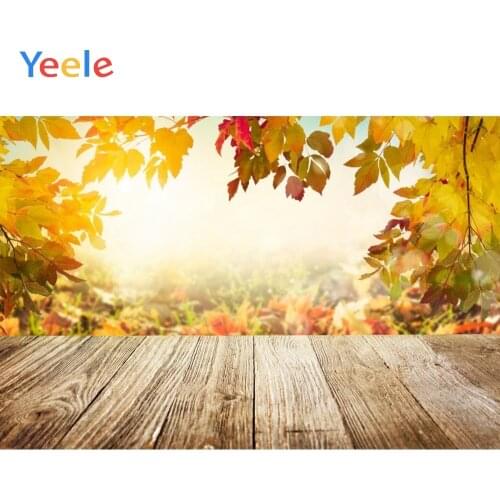 Autumn Backdrop Leaves Wood Board Baby Shower Children Birthday Photography Background For Photo studio Photocall Photophone